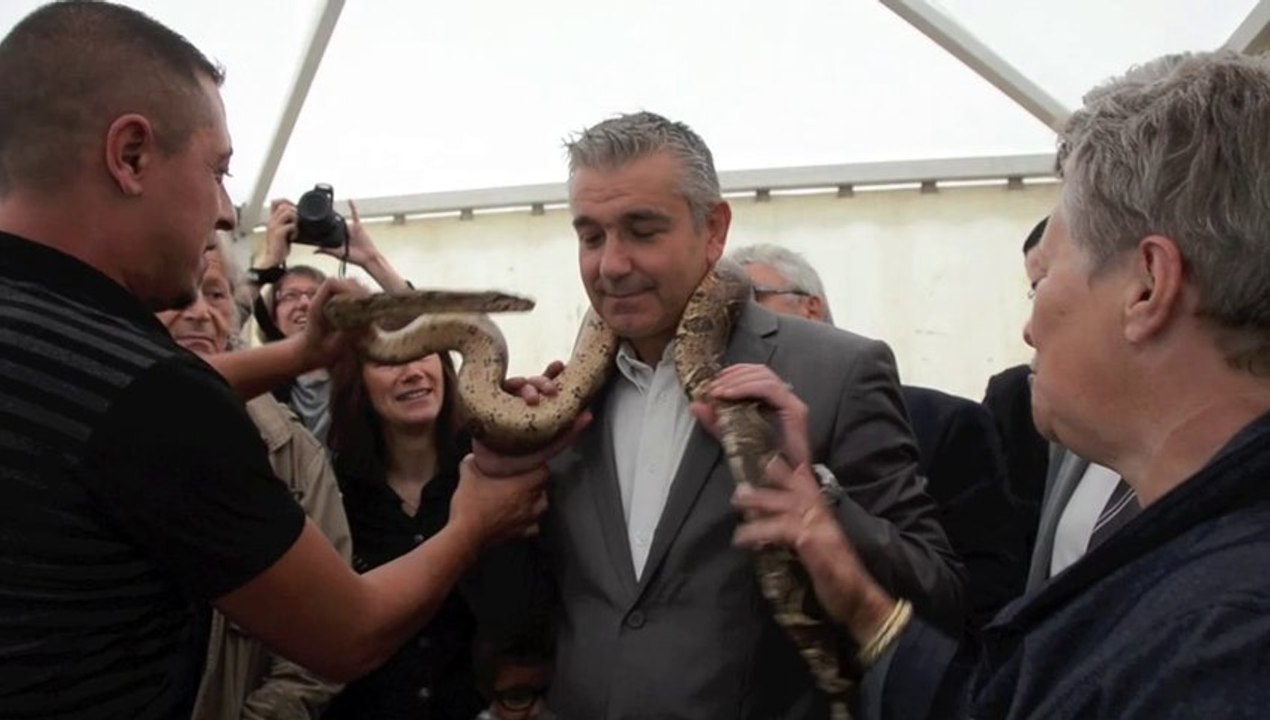 Même pas peur des reptiles