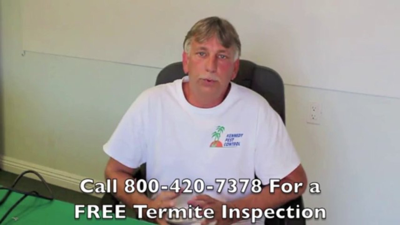 Pest Control San Diego 800-420-7378 | Drywood Termites