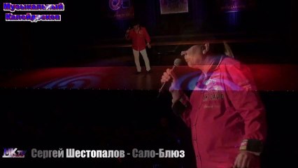 Сергей Шестопалов - Сало-Блюз