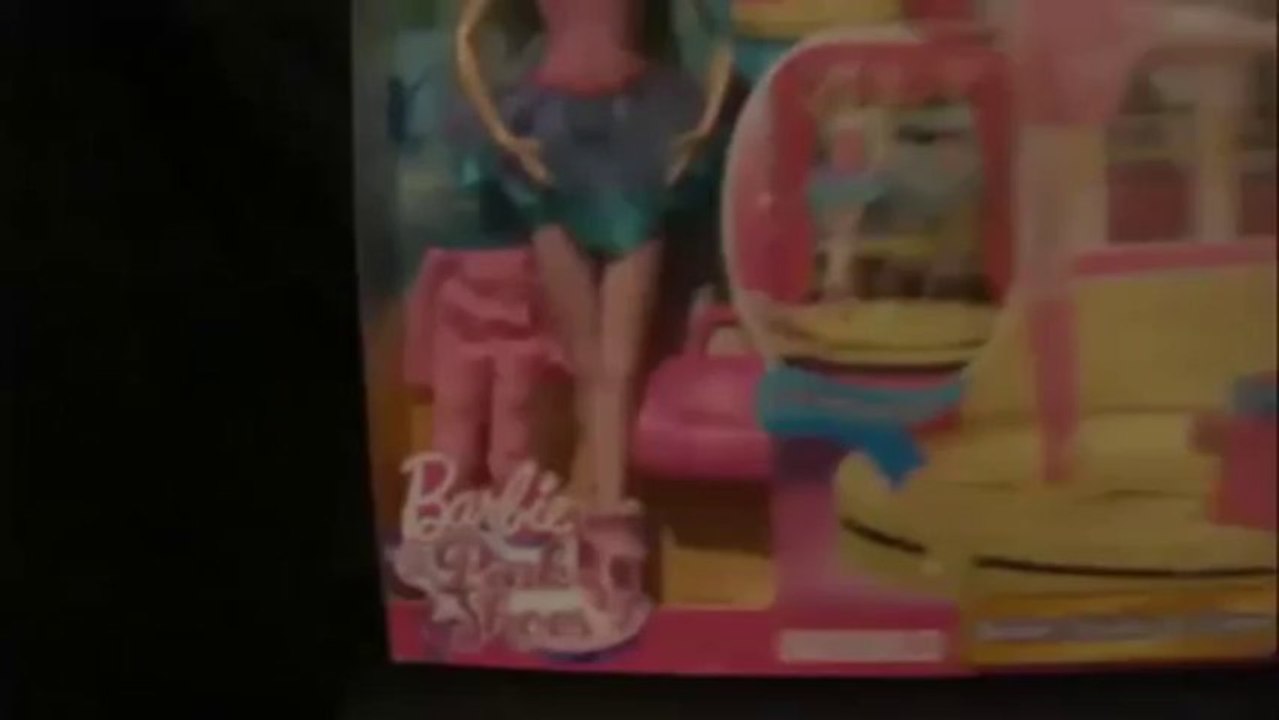 Barbie in the Pink Shoes doll and Ballet Studio and Stage -- Just another Barbie in the Pink Shoes?