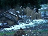 Snow clad peaks and village of Jatoli, home of Snow Pigeons