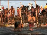 Millions of Sadhus take plunge in the holy Ganges - Kumbh Mela