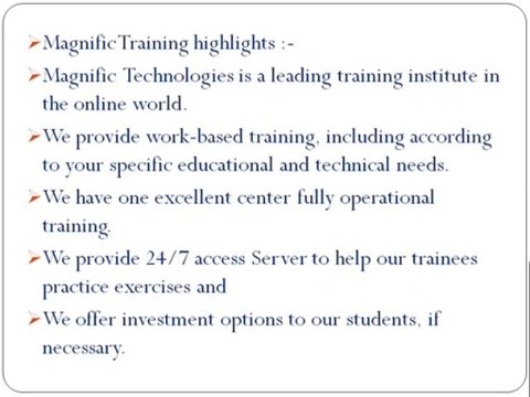 SAP ENTERPRISE PROTAL ONLINE TRAINING USA | MAGNIFIC TRAINING