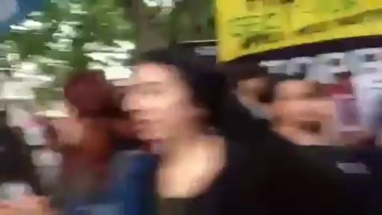 Gezi Parkı Eylemlerinde Abdullah Öcalan Bayrakları Posterleri