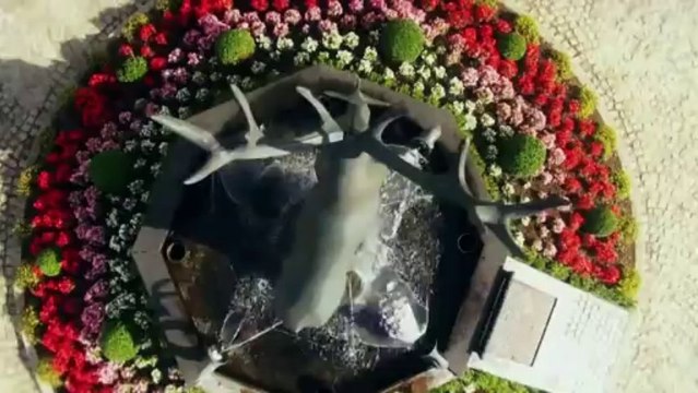 Saint-Hubert - Entre Ciel et Terre - 0915