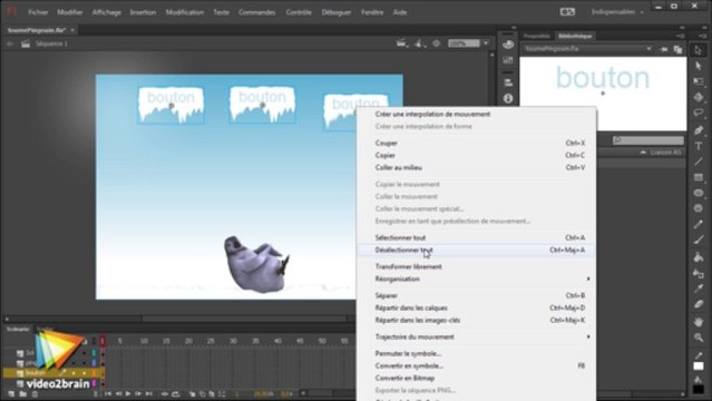 Flash CC : La gestion des symboles
