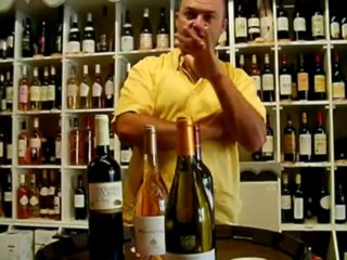 Bourgogne Aligoté 2011 des Vignerons de Buxy