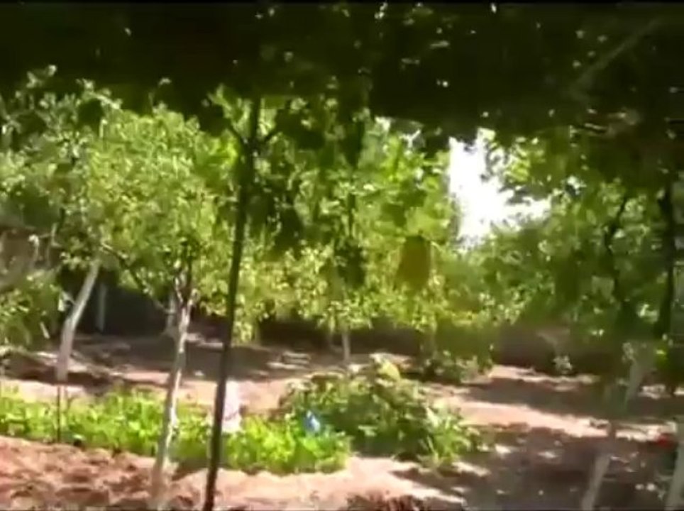 Dadağı Köyü - 33