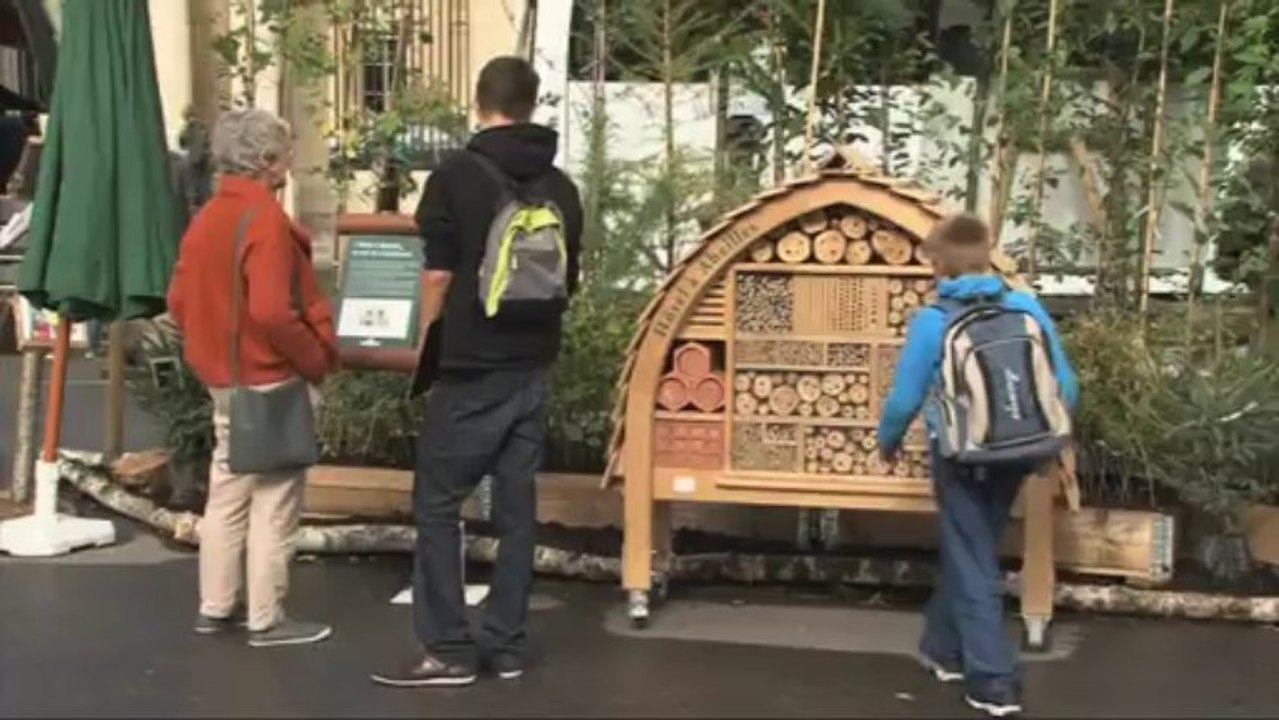 Stéphane Le Foll visite l'exposition "Bois et Forêt, le choix nature"
