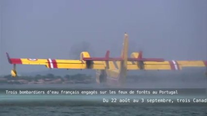 Quatre avions français engagés sur les feux de forêts au Portugal