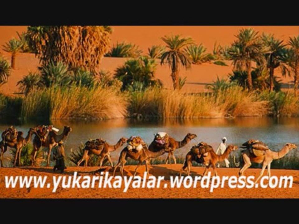 Bakara Suresi -  Tefsir Dersleri  - 2.Bölüm  -  Mahmut Toptaş Hoca