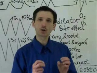 Sleep Heavy Breathing Effect (When and Why Sick People Die)