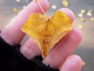 Sezen Aksu   -   Sen