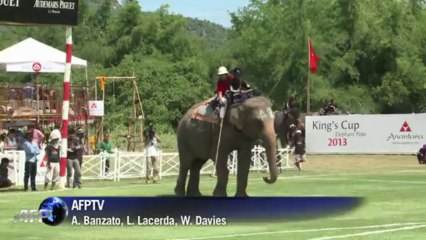 Polo com elefantes na Tailândia