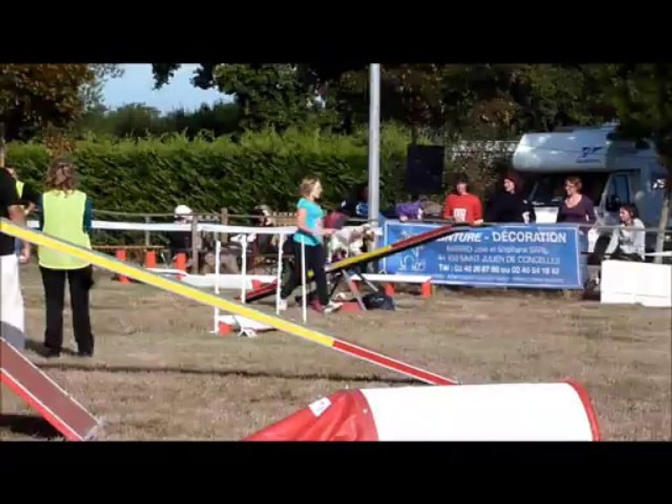 Concours st julien de concelles Elfie