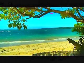 Away From You,  Vince Castro