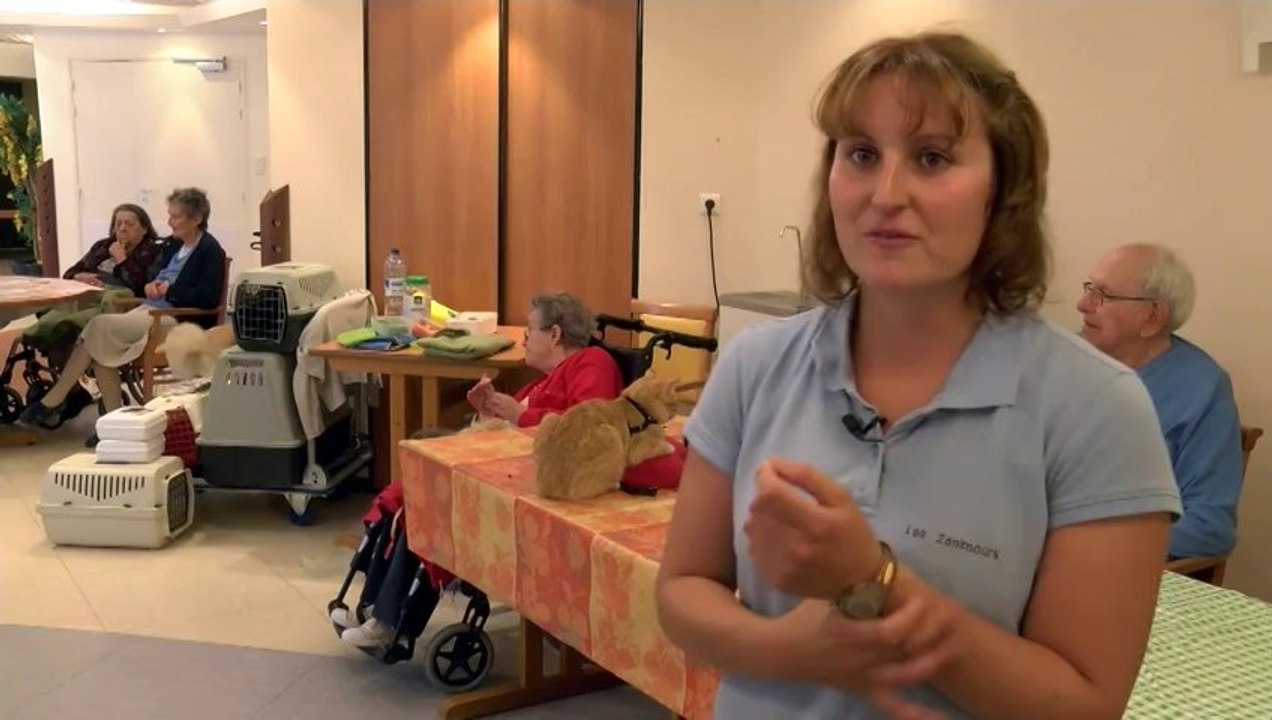 JT SEPTEMBRE [S.9] [E.12] - Le journal du mardi 17 septembre