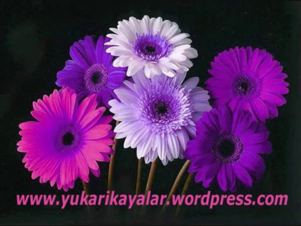 Gıybet Hakkında Vaaz -  Nevzat Kalyoncu -  Azerbeycan