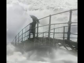 yıldız çam - zalım poyraz