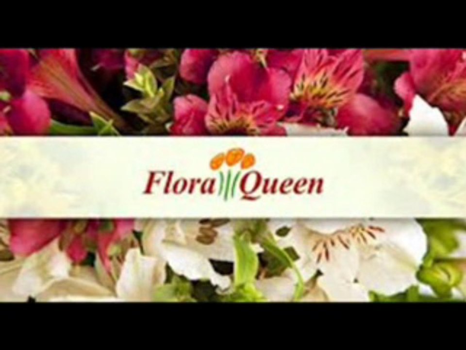 Floraqueen- Plantes et cadeaux !