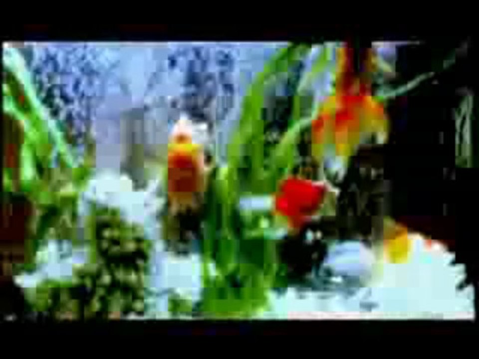 Katula Katula (Davut Güloğlu) - Sesli hop,Seslihop,Seslihop.com,Sesli Chat,Sesli Sohbet,Sesli Siteler,Seslichat,Seslisohbet