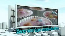 City Outdoor Advertising Billboard - After Effects Template