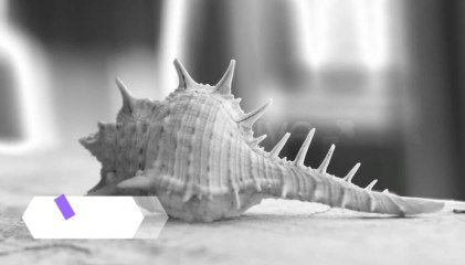 Hexahedral Lower Thirds - After Effects Template