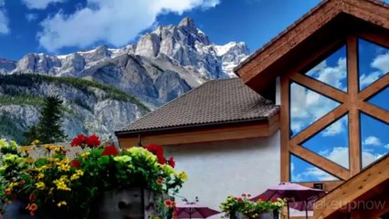 Wake Up Now Opportunity