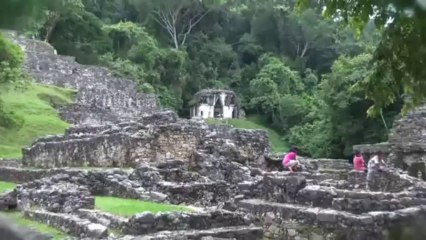 Conexión Jr. (Palenque)