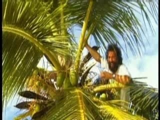 Ile Mauritius Ocean Indien 2