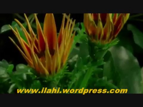 İlahi - Ben Bir Yetim Gördüm - Mesut Çelik - Müziksiz ilahiler