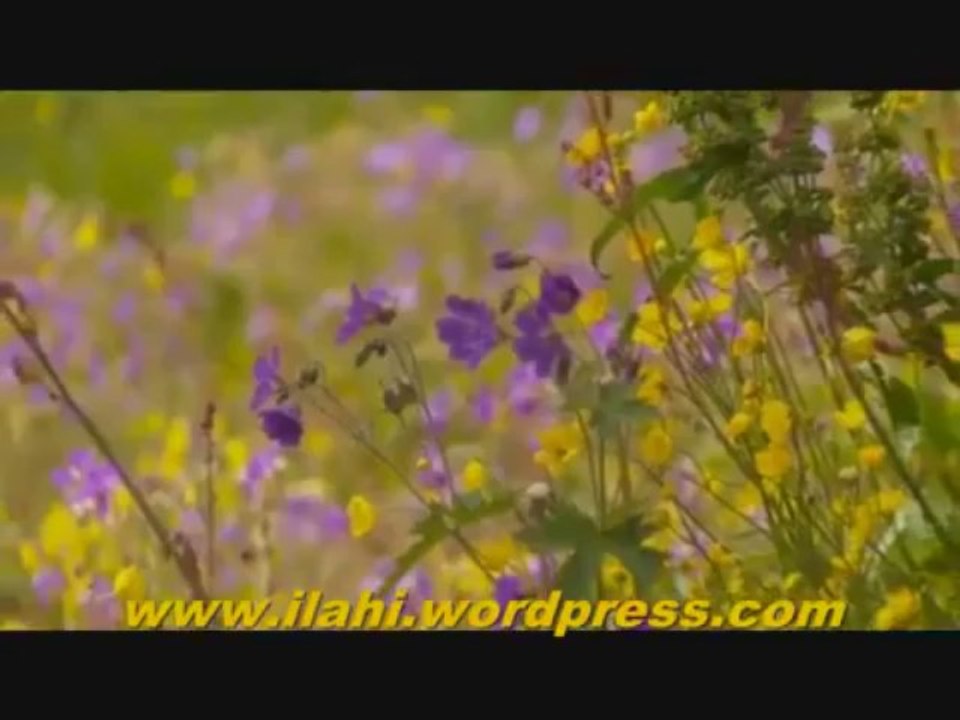 İLAHİ - Bu gidiş nereye -   Süper Muziksiz ilahi