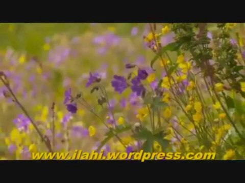 İLAHİ - Bu gidiş nereye - Süper Muziksiz ilahi