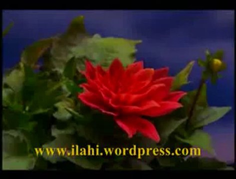 ILAHI Durma Deli Gönül Durma - Müziksiz Ilahiler