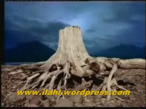 İlahi - Günün birinde - Cemal Kuru