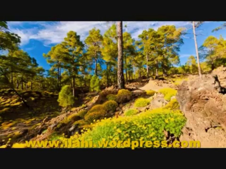 İlahi - Güzel Bir Kaside - Mehmet Yetkin - Müziksiz ilahi