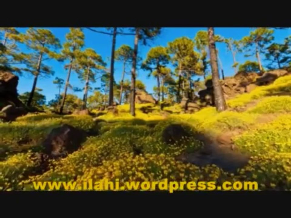 İlahi - Kaside -İnilteyari - Mehmed Emin  Ay -  Müziksiz ilahiler