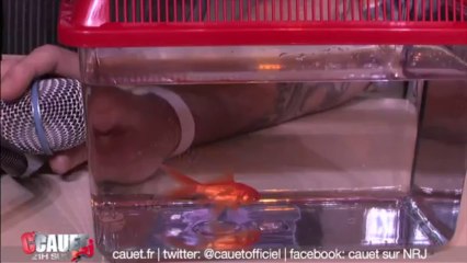 Nemo en interview exclusive dans la chronique de Justin - C'Cauet sur NRJ