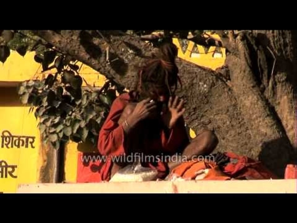 Sadhu on top - Ardh Kumbh Mela, 2007