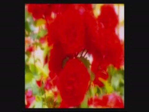 İLAHİ - Medine Yollarında