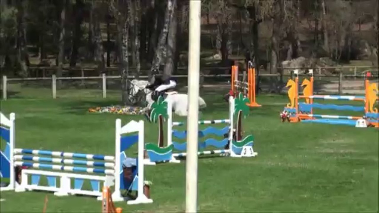 Ironie des Genets BIP 2013 As Poney 2D