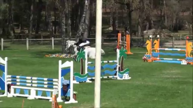 Ironie des Genets BIP 2013 As Poney 2D