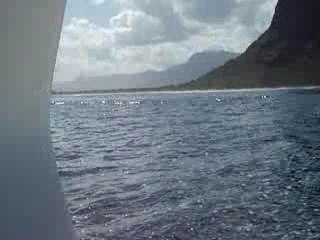 Snorkelling In Mauritius
