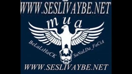 Seslibaslat Seslibaslat.com M-u-A Hindi Kalabalıga Girmiş  Ne Demiş SESLiiiiiVAYBEEEEEEEE