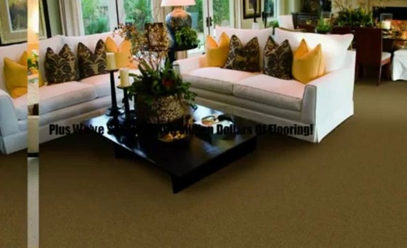 Carpet W Hollywood Get $272 in Bonuses! 800-843-9246
