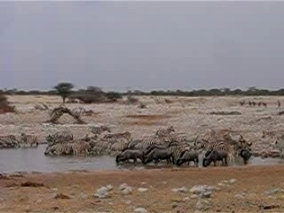 Chudop