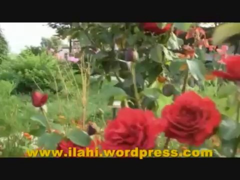 İlahi - Seher Vakti Bülbüller - Hasan Kılıçatan