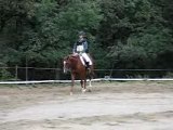 Dressage Damiatte en CCE