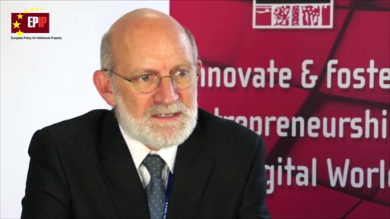 EPIP 2013 : Manuel Desantes Real, professor, Universidad de Alicante