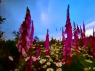 Kabirden Mektup Var -- İmam-ı  Gazali - www.ilahi.wordpress.com